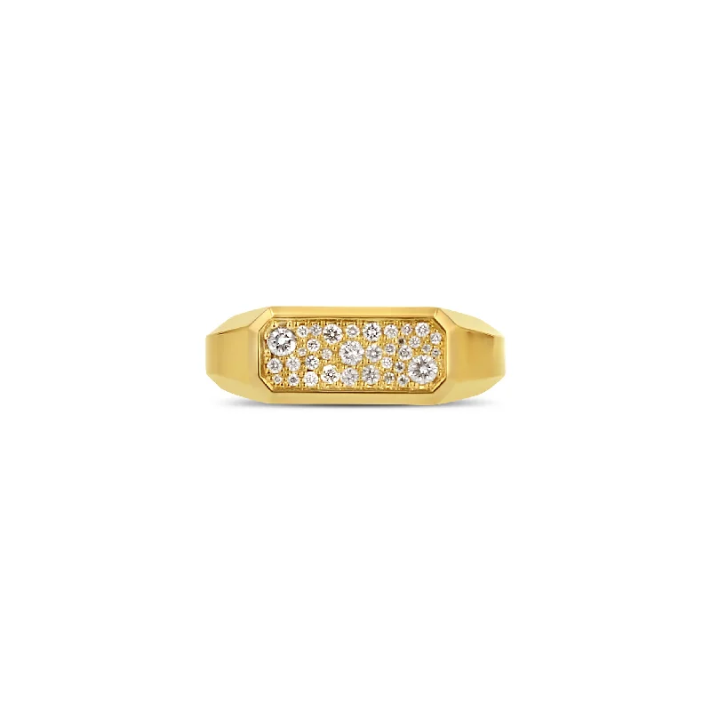 Your Dream Jewelry At Dream Prices Elongated Emerald Galaxy Signet Ring
