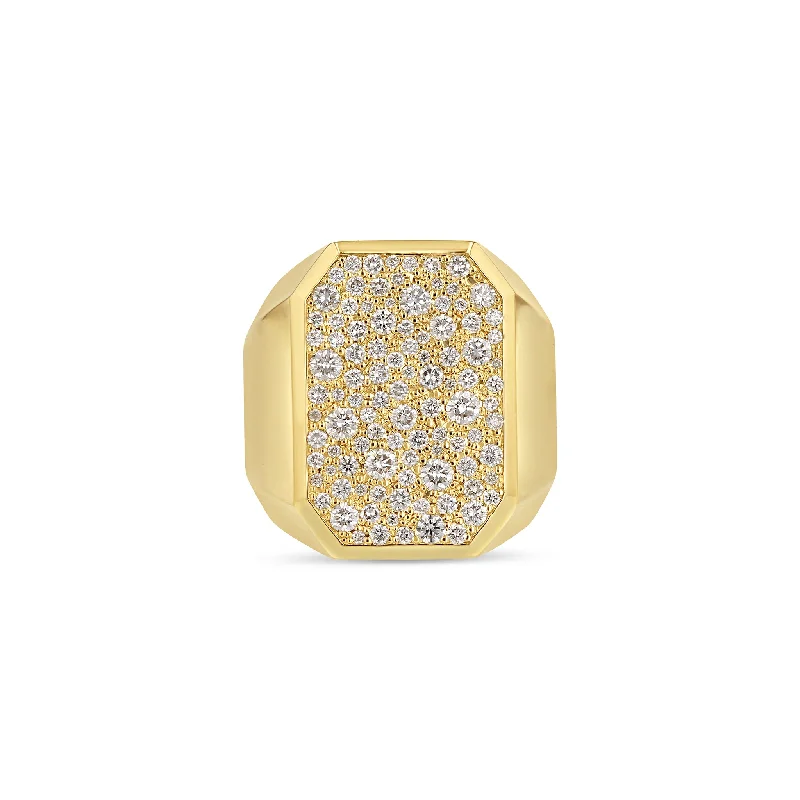 Exclusive Jewelry Markdowns – Limited-Time Offer Emerald Galaxy Signet Ring