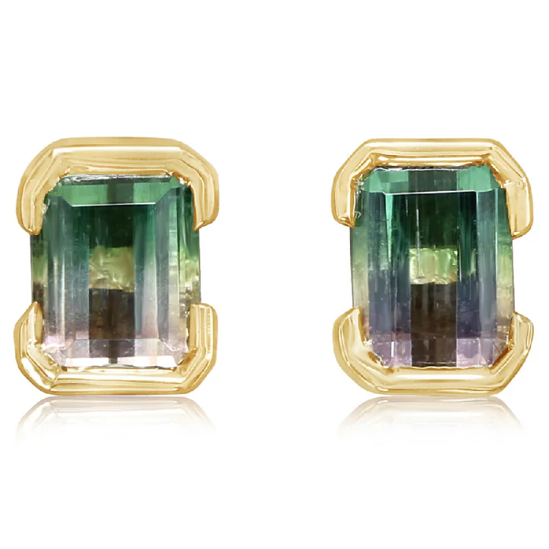 Bold And Beautiful Jewelry Now At Irresistible Prices 14K Yellow Gold Bi-Color Tourmaline Earrings Bold And Beautiful Jewelry Now At Irresistible Prices 14K Yellow Gold Bi-Color Tourmaline Earrings