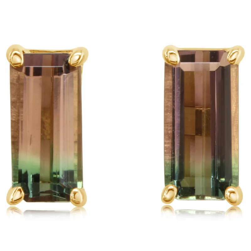 Accessorize For Less – Luxury Jewelry At Affordable Prices 14K Yellow Gold Bi-Color Tourmaline Earrings Accessorize For Less – Luxury Jewelry At Affordable Prices 14K Yellow Gold Bi-Color Tourmaline Earrings